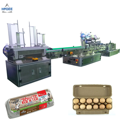 China Farm chicken eggs labeling machine with eggs expiry date printing machine ,egg box labeling machine with egg tray supplier